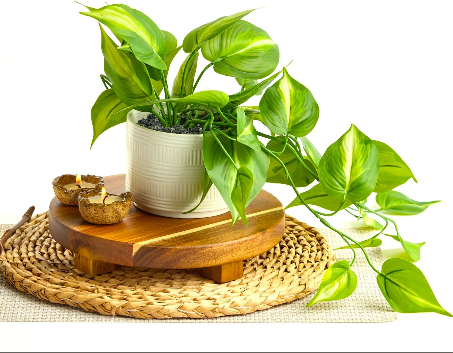 Kurrajong Farmhouse Dark Green Fake pothos | Fake Plant for Shelf Decor | Artificial Trailing Ivy Plant with 5" Wide Ceramic Pot | Faux pothos | Feaux Pothos | Bathroom and Kitchen Decor