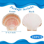 10pcs Sea Shells 4''-4.5'' Large Natural Scallop Shells Pink & Yellow Hawaiian Scallop Shells for Crafts, Seashell Beach Decorations for Home Decor, Beaching Wedding Decoration
