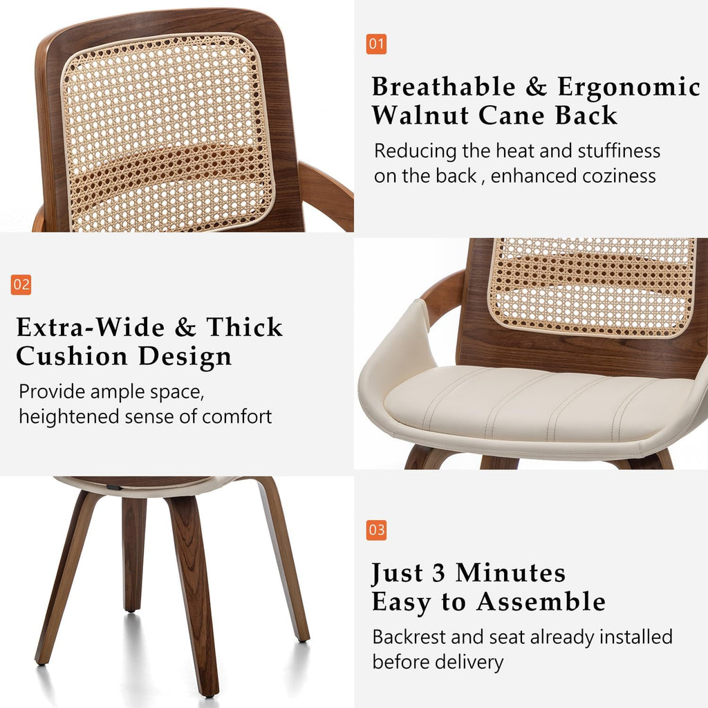 Cane Dining Chairs - Mid Century Modern Dining Chairs with Walnut Bentwood Frame, Ergonomic Rattan Back, Curved Arms, Versatile for Living Room/Reception/Kitchen/Desk (Walnut Beige, Set of 1)