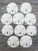 Real Sand Dollars 3" to 3.5" (10 Pack) – Sand Dollar Wall Art & Ornament Set – Beach Wedding Decor – Nautical Party Table Decor – Mini Shells for Crafts – Coastal Gifts