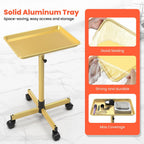 TASALON Rolling Salon Tray,Mobile Styling Station with Wheels Aluminum Rolling Tray Trolley for Salon Essentials, Adjustable Heightfor Hairstylist Tray with 10 PCS Disposable Salon Tray Cover,Gold