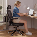 SeekFancy Ergonomic Office Chair M903, Computer Desk Chair | High Back Mesh Office Chair with Adjustable Lumbar Support, Headrest, Flip-Up Armrests, Wheels, 330LBS Capacity, Black
