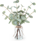 Bessol Artificial Eucalyptus Stems in Glass Vase with Faux Water, 13.5" Fake Plants for Home Decor, Coffee Table Centerpieces, Office, Bathroom & Farmhouse Weddings - Faux Greenery Plants Decorations