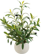17" Artificial Olive Potted Plant with White Ceramic Planter Faux Olives Realistic Tabletop Indoor Plant for Home Office Kitchen Bathroom Decor