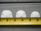 Tumbler Home Real Sand Dollars 1.25" - 1.5" Inch (30 Pack), Natural White Sand Dollars for Crafts, Bulk Florida Sanddollar Shells for DIY Crafts, Beach Wedding Décor, Nautical and Coastal Room Decor