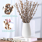 Natural Preserved Dried PussyWillow Branches for Vases, 20 Stems Real Willows, 17” Snow Pussywillows, Dried Flowers for Indoor Decor, Wedding Home DIY Floral Art Plants Fireplace, Brown