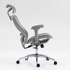 Ergonomic High Back Mesh Office Chair with Adjustable Lumbar Support and Headrest for Comfortable Workdays - Breathable, 3D Armrests, Reclining Seat - Ideal for Home and Office,Grey