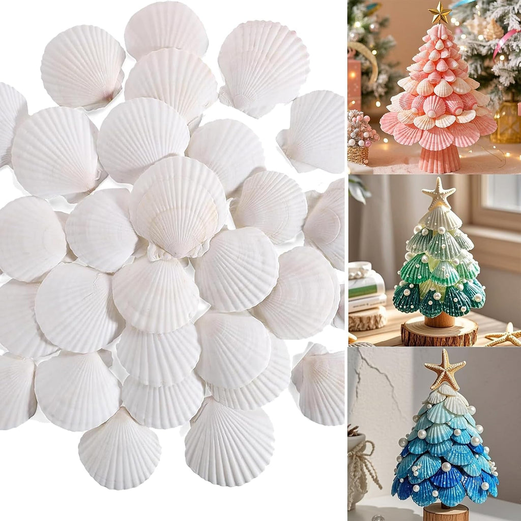 50 PCS Natural Sea Shells 1.6" to 2" White Scallop Shells for DIY Painting Crafts, Wedding Decor, Beach Theme Party, Aquarium Fish Tank and Vase Filler