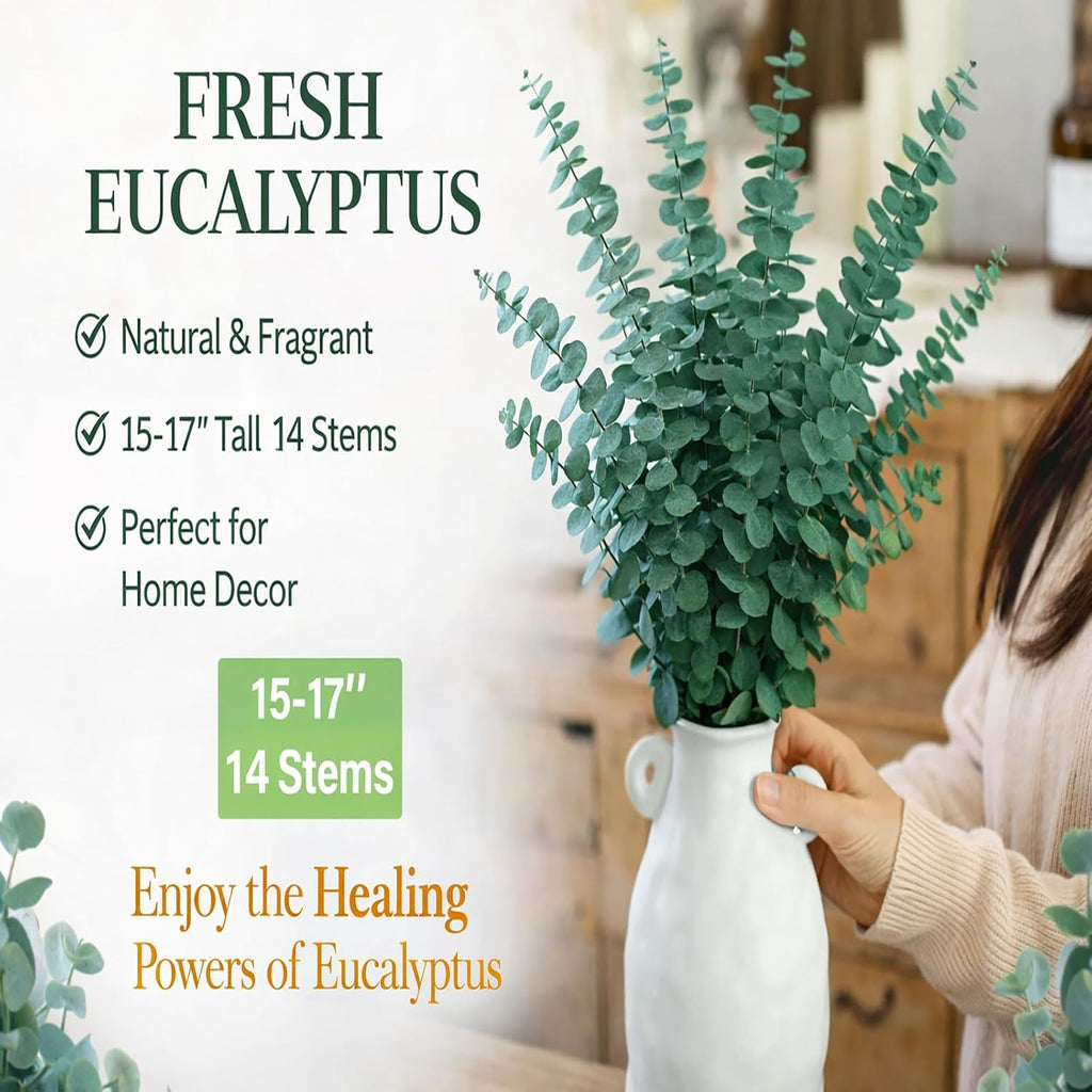 16PCS Dried Eucalyptus Stems – 17" Natural Preserved Eucalyptus Plant，Eucalyptus for Shower Branches for Vase Wedding Decor, Eucalyptus Bundle & Home Decor