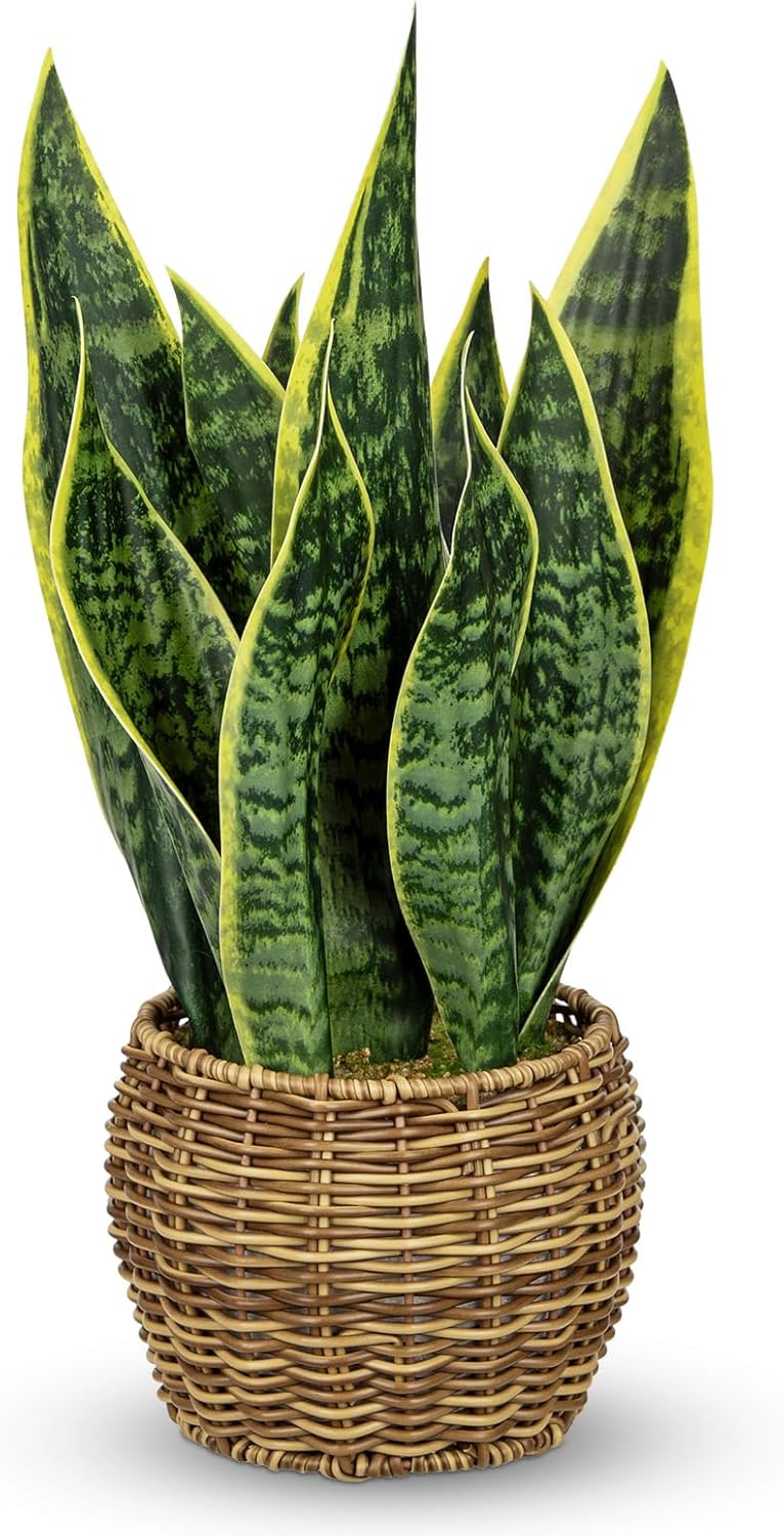 Hollyone Artificial Snake Plant in Woven Basket 17" Faux Sansevieria Trifasciata Plants Large Fake Snake Plants Potted for Home Office Room Farmhouse Indoor Decor Housewarming Gifts