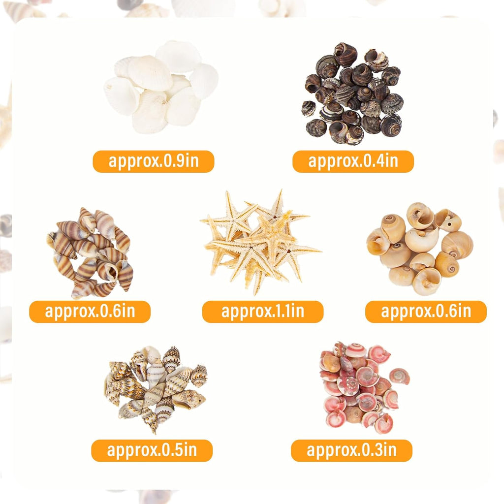 JQAQJU 1000 PCS Mini Sea Shells Small Starfish Mixed, 20 Kinds of Tiny Seashells Bulk for Crafting, Beach Natural Spiral Conch Shells for Crafts DIY Beach Theme Party Candle Decor Wedding Fish Tank