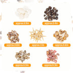 JQAQJU 1000 PCS Mini Sea Shells Small Starfish Mixed, 20 Kinds of Tiny Seashells Bulk for Crafting, Beach Natural Spiral Conch Shells for Crafts DIY Beach Theme Party Candle Decor Wedding Fish Tank