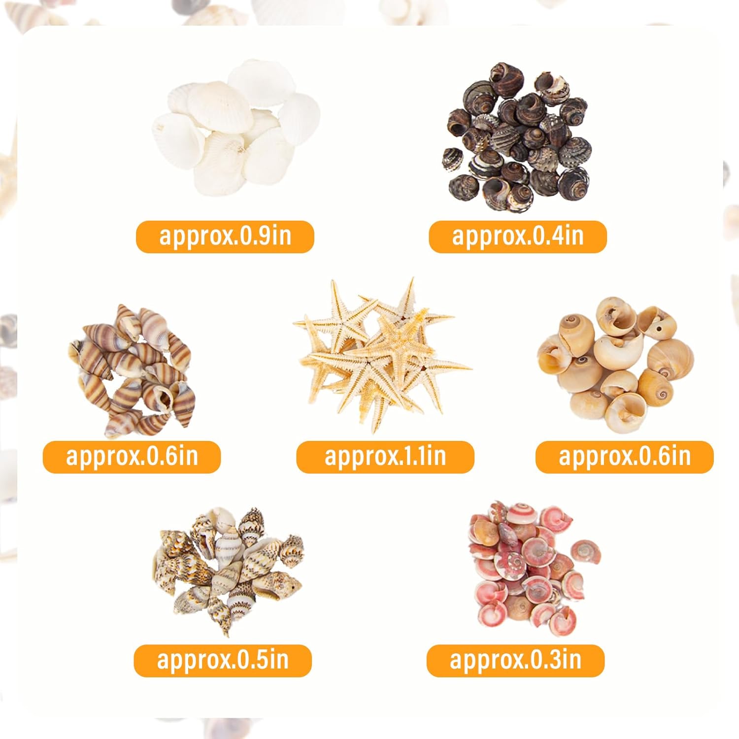 JQAQJU 1000 PCS Mini Sea Shells Small Starfish Mixed, 20 Kinds of Tiny Seashells Bulk for Crafting, Beach Natural Spiral Conch Shells for Crafts DIY Beach Theme Party Candle Decor Wedding Fish Tank