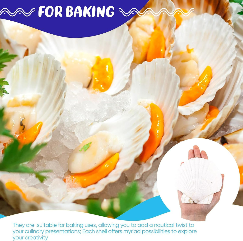 GlikCeil 50 Pcs Sea Shell for Crafting Natural Large Scallop White Oyster Shells Bulk for Decorating DIY Home Decor Beach Wedding Ocean Themed Party(3.5''-3.9'')