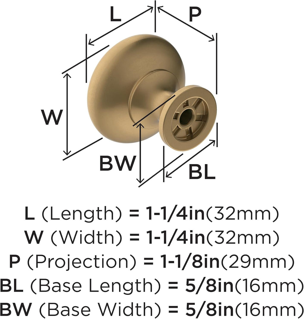 Amerock Edona 1-1/4 inch (32mm) Diameter Champagne Bronze Cabinet Knob - 10 Pack