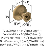 Amerock Edona 1-1/4 inch (32mm) Diameter Champagne Bronze Cabinet Knob - 10 Pack