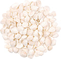 SINKOO Bulk Natural White Small Seashell Clam Super Shells Assortment for DIY Craft Beach Decor
