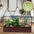 D'Eco Glass Castle Centerpiece (10x9x5)- Tabletop Planter Terrarium- Spring Easter Home Decor & Wedding Letterbox - Fill w Succulents, Moss, Colorful Eggs, Bunny Rabbits, Grass- Gift for Plant Lovers