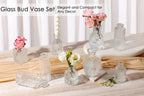 12 Pcs Glass Bud Vase Set, Small Glass Vases for Flowers, Mini Clear Bud Vases for Centerpieces, Wedding, Home, Office and Table Decoration, Clear