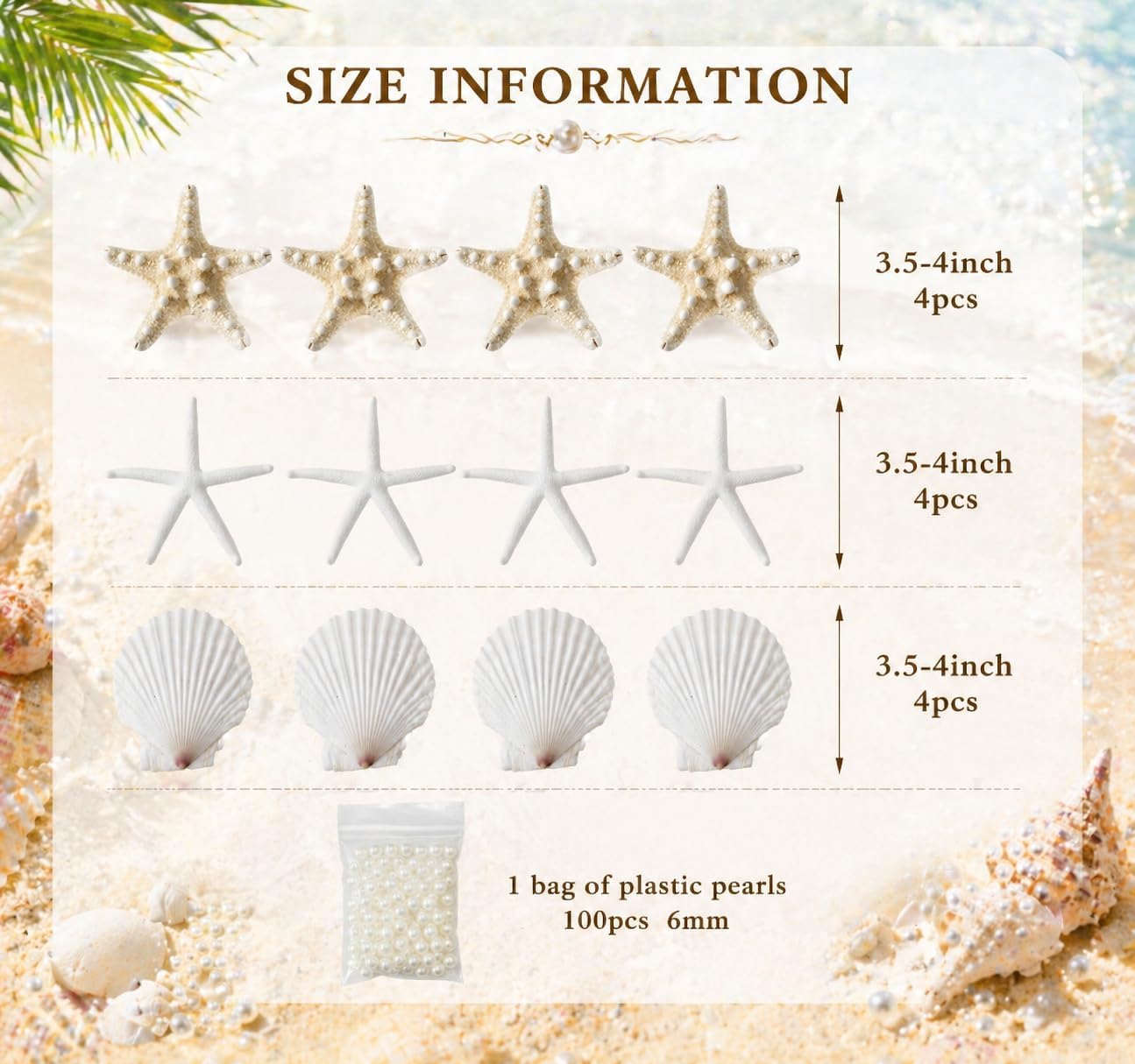 JSPYFITS 2.5-4 Inches Large Starfish and Scallop Shells for Crafts 12PCS, Natural Beach Sea Shells for Crafting, Baking Shells Perfect for White Christmas Decor Beach Party Wedding DIY Crafts