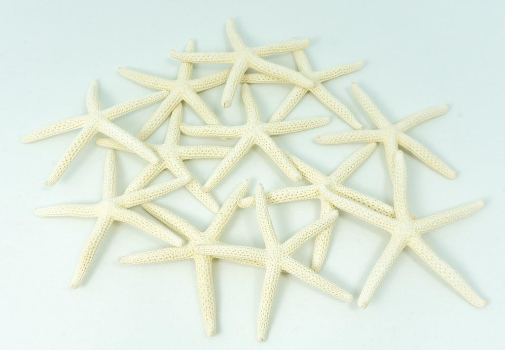 Starfish Decor - Star Fish for Craft - 12pk Real 2-3" White Sea Stars - Beach Wedding Decor - Coastal Party Decorations - Seashell Decor - Shells for Crafts - Nautical Decor - Bulk Shells for Crafts