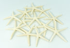 Starfish Decor - Star Fish for Craft - 12pk Real 2-3" White Sea Stars - Beach Wedding Decor - Coastal Party Decorations - Seashell Decor - Shells for Crafts - Nautical Decor - Bulk Shells for Crafts