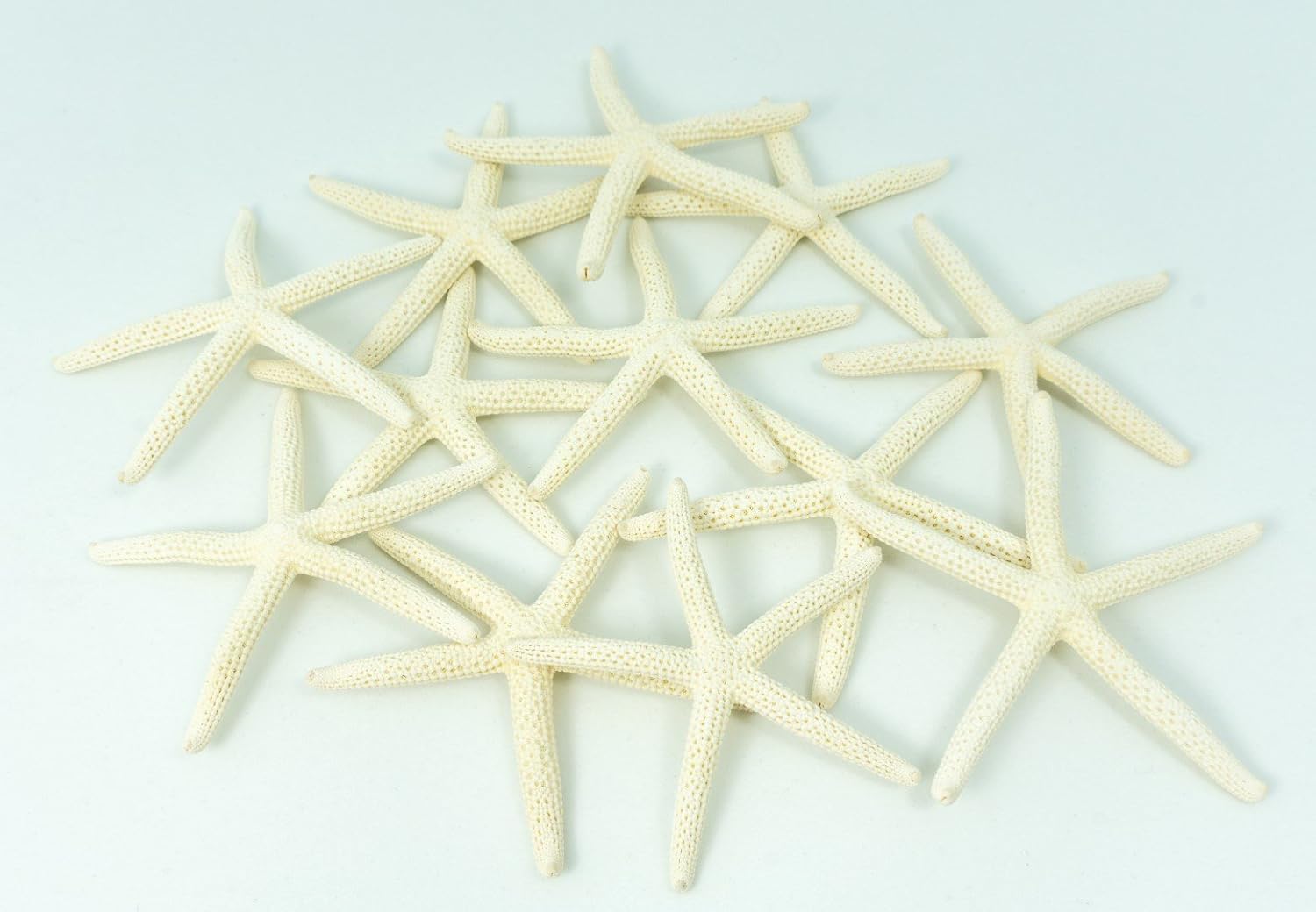 Starfish Decor - Star Fish for Craft - 12pk Real 2-3" White Sea Stars - Beach Wedding Decor - Coastal Party Decorations - Seashell Decor - Shells for Crafts - Nautical Decor - Bulk Shells for Crafts