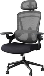 DUMOS Executive Office Ergonomic Desk Chair, 300 LBS Home Mesh Chairs with Wheels, 2D Headrest, Up&Down Lumbar Support, Swivel High Back Computer Chair with Flip-up Armrests, Black