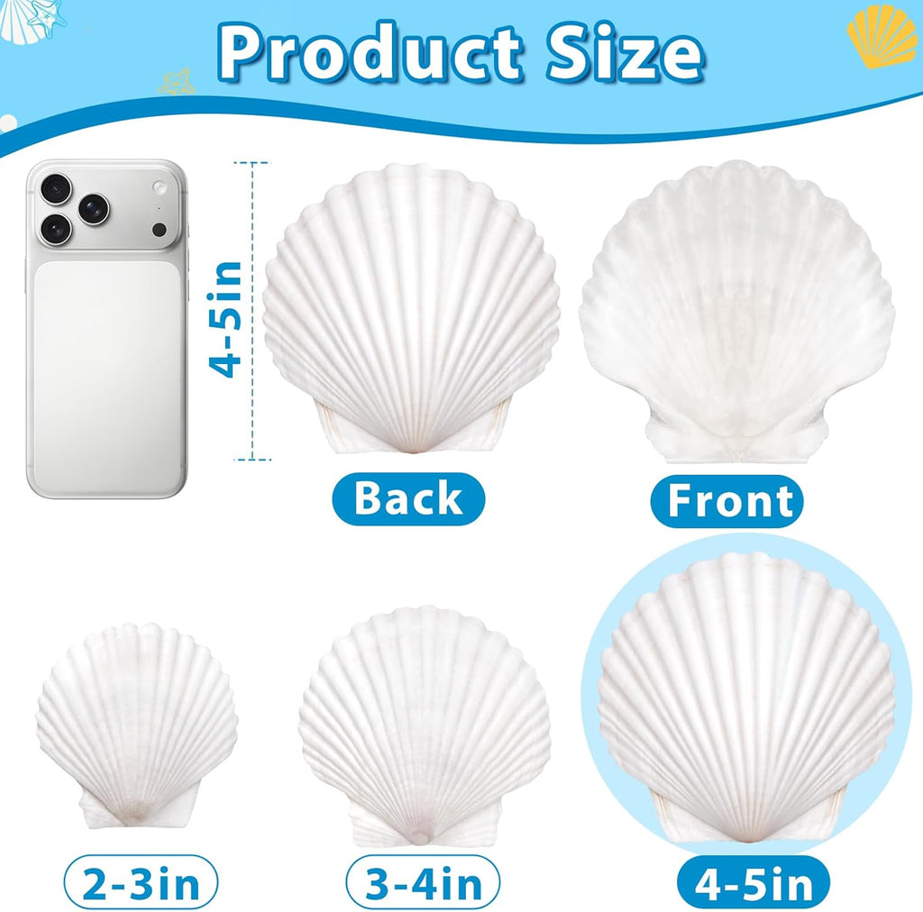 20Pcs 4-5 Inch Large Scallop Shells for Crafts, Natural White Scallop Shells for Baking, Painting, DIY Crafts, Decoupage, Beach Wedding Decor, Large Seashells Bulk for Home