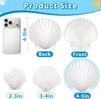 20Pcs 4-5 Inch Large Scallop Shells for Crafts, Natural White Scallop Shells for Baking, Painting, DIY Crafts, Decoupage, Beach Wedding Decor, Large Seashells Bulk for Home