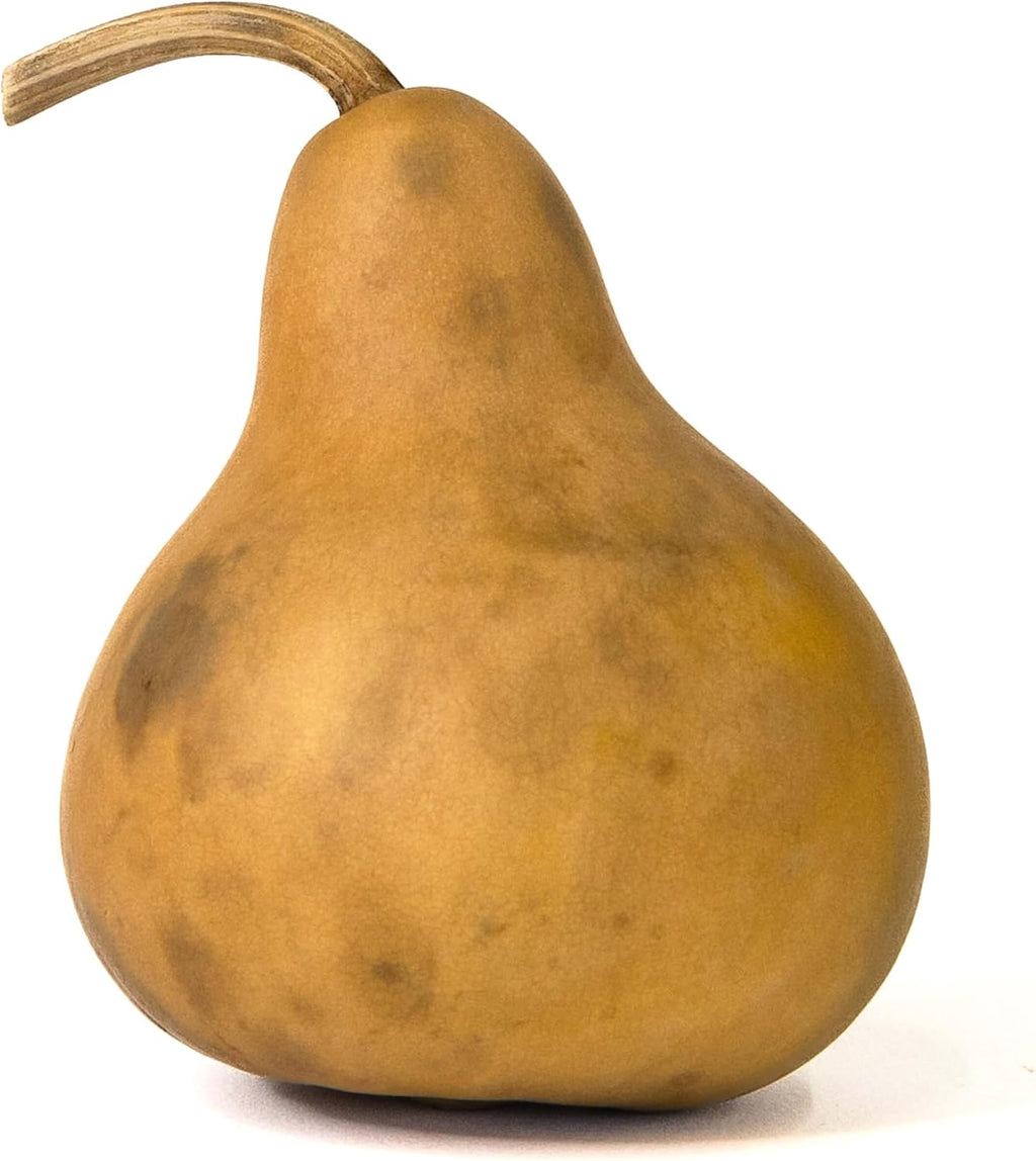 Box of 5 Dried Martin Gourds - 3" Diameter, Ready for Crafting or Decorating