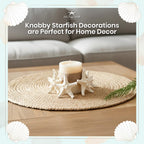 Real Knobby Starfish | 24 Real Knobby Starfish White 2" to 3.5" Beach Wedding Decor, Coastal Party Decorations, Seashell Decor