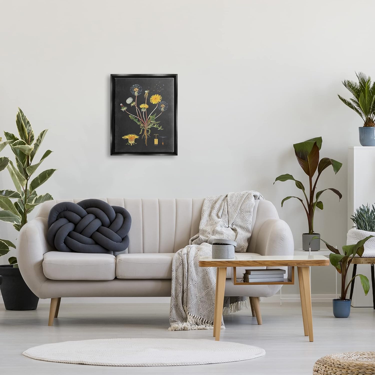 Stupell Industries 'Botanical Drawing Dandelion On Black Design', Floating Frame Canvas Art, Black, 17 x 21 Inches, Easy to Hang and Sturdy, Made in USA, by Lettered and Lined