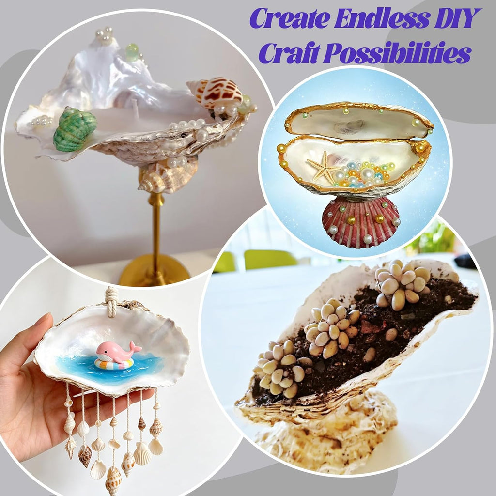 SINKOO 20PCS Concave Oyster Shells 4"-6", Large Oyster Shells for Crafts, Cleaned Natural Oyster Shells Bulk for Christmas, Painting DIY Crafts, Vase Filler, Beach Themes and Sea Shells for Crafts