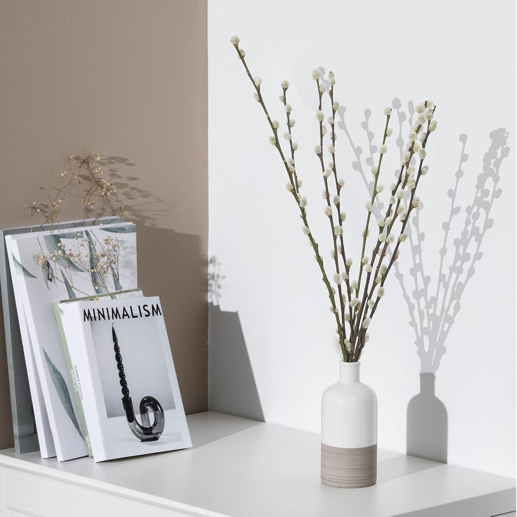 60 Stems 100% Natural 17 Inches Preserved Pussy Willow Flowers Pussy Willow Branches for Vases White Pussywillows for Festival Easter Wedding Home Party Hotel Fireplace Decor