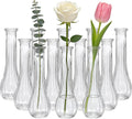 Glass Vases for Centerpieces, 12 Pack Clear Flower Vases for Wedding Decorations and Indoor Home Decor, Hurricane Candle Holder for Table Shelf, Party