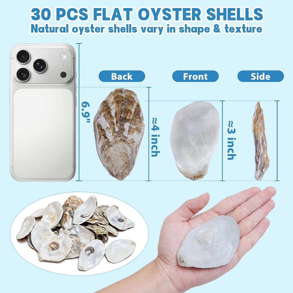 30PCS 3"-4" Flat Oyster Shells, Natural Seashells for Crafts, Decoupage, Beach Wedding Decor & Christmas Ornaments, Bulk Medium Oyster Shells