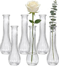 Glass Bud Vases for Centerpieces, 6 Pack Clear Small Flower Vases for Wedding Decorations and Indoor Home Decor, Hurricane Candle Holder for Table Shelf, Party