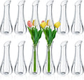 Mumufy 12 Pcs Acrylic Glass Bud Vases for Centerpiece Christmas Clear Plastic Bud Vase Crystal Acrylic Vase Small Break Resistant Flower Vase for Rose Home Decoration (Classic, 2.17 x 5.91 Inch)