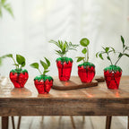Glass Strawberry Propagation Vases for Plants: 5PCS Cute Strawberry Decor for Home Kitchen Bathroom Office - Unique Indoor Hydroponic Planters Gifts for Mom Women Mothers Day (Red)