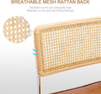 Zesthouse Natural Rattan Dining Chairs Set of 2, Mid Century Modern Dining Room Chairs with Chrome Leg, Faux Leather Kitchen Chair with Solid Wood Back & Cane Mesh, Breuer Cesca Design Inspired, Brown