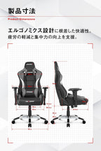 エーケーレーシング(Akracing) Pro-X V2 Gaming Chair, Grey
