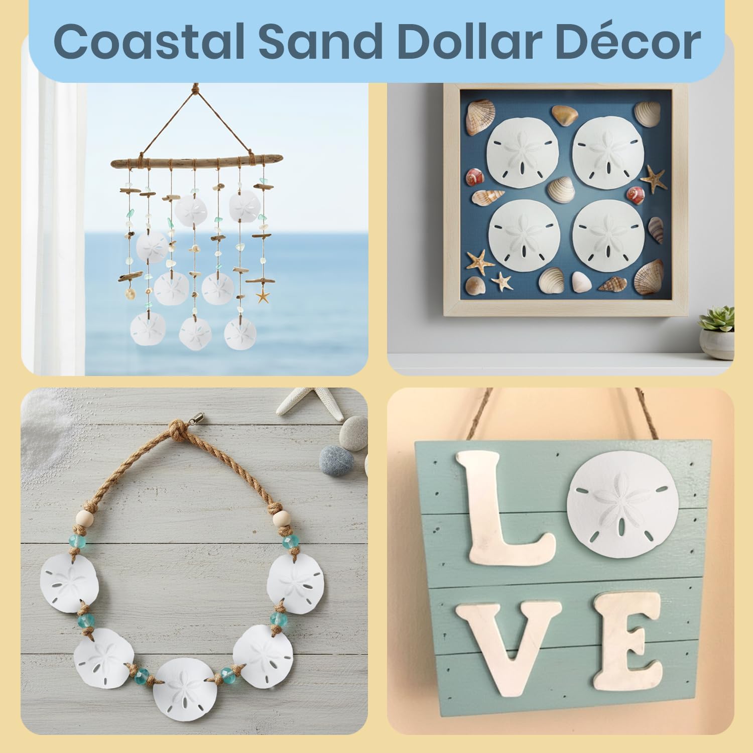 Real Sand Dollars 3" to 3.5" (4 Pack) – Sand Dollar Wall Art & Ornament Set – Beach Wedding Decor – Nautical Party Table Decor – Mini Shells for Crafts – Coastal Gifts