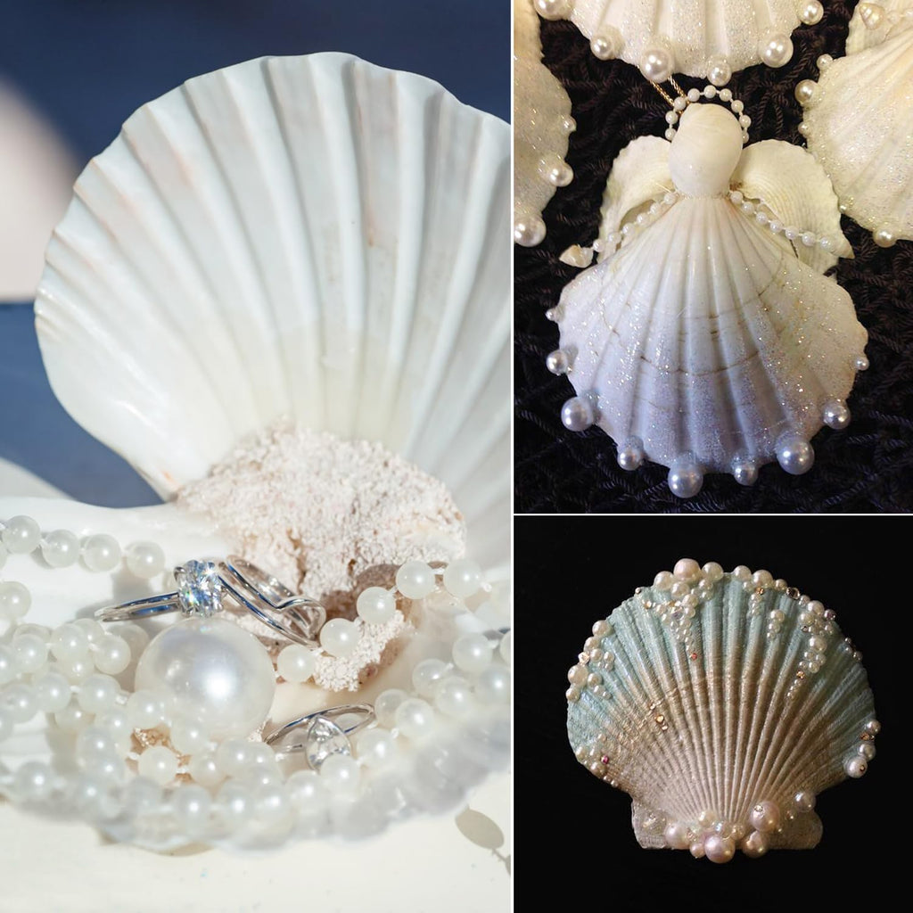 Jangostor 20 PCS Scallop Shells Natural Seashell, 2.3" to 3.5" White Scallop Shells Large Seashells for Crafts Wedding Decor Beach Theme Party, Fish Tank and Vase Filler