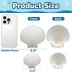 20PCS Natural White Scallop Shells 3-4 Inch for Crafts, DIY Painting, Beach Sea Home Decor, Large Seashells Bulk for Ocean Themed Party Decoupage Decoration