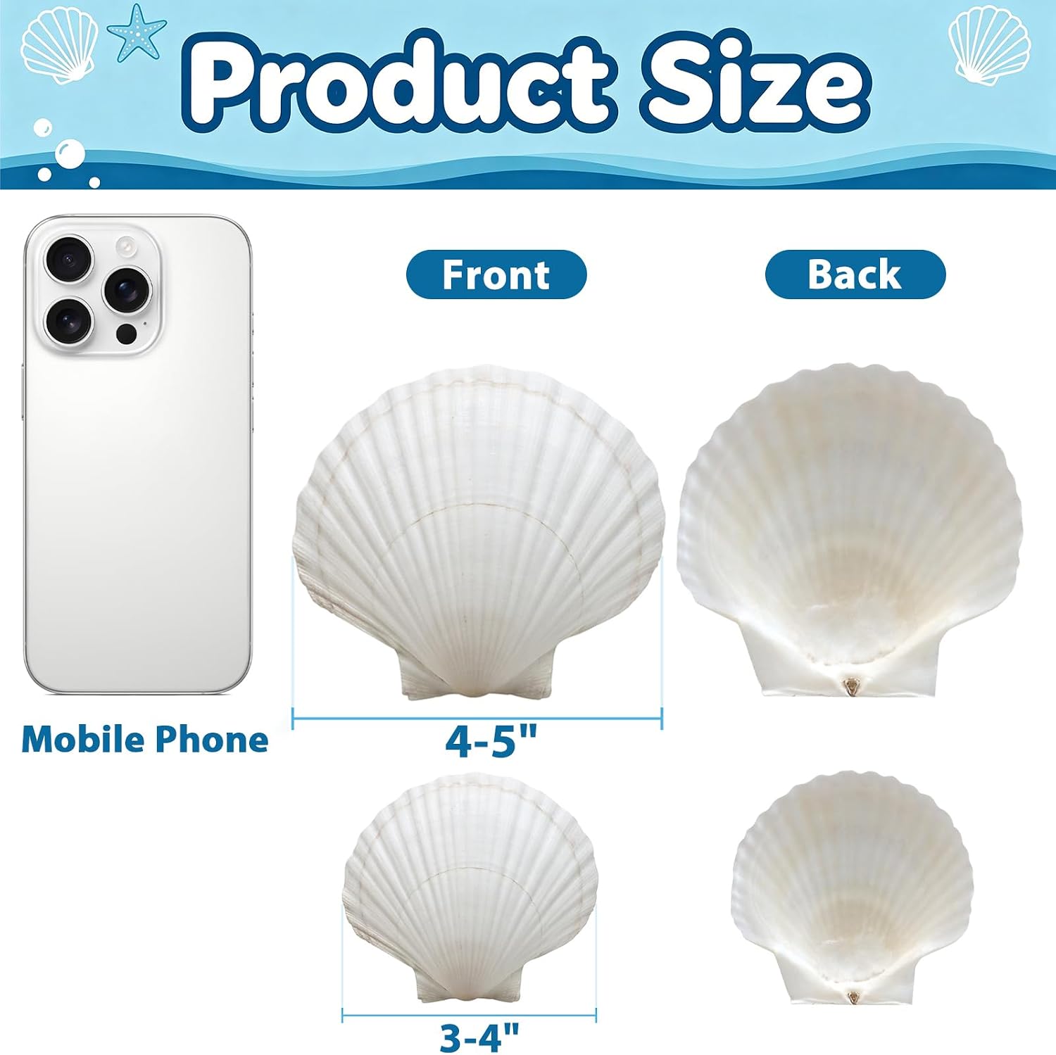 20PCS Natural White Scallop Shells 3-4 Inch for Crafts, DIY Painting, Beach Sea Home Decor, Large Seashells Bulk for Ocean Themed Party Decoupage Decoration