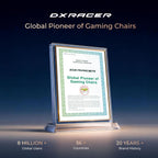 DXRacer Formula L Ergonomic Gaming Chair for Adults, Reclining Video Office Computer Gamer Chair with Lumbar Support and Headrest (Water-Resistant Fabric, Gray White)