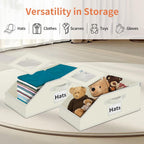 Aokeyee Hat Organizer for Baseball Caps - 2PCS Stackable Storage with Clear Window Lid, Flip-Top Access, Space-Saving Hat Box for Closet, Breathable Fabric (beige)