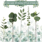 lovemoon 130 Pcs Artificial Mixed EucalyptusStems Bulk, 5 Kinds of Faux GreeneryEucalyptus Leaves Bulk for Vase Wedding DIY Bouquets Floral Arrangement Home Decor (130, Green)