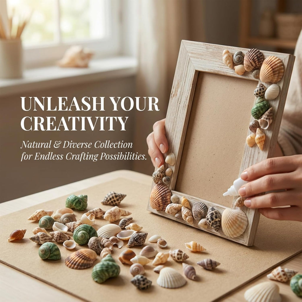 MAQIHAN Tiny Seashells for Crafts - Small Sea Shells Mixed Ocean Beach Shells Bulk for Home Decorations Wedding Decor Beach Theme Party Vase Filler (0.2-0.8 in, 314 Grams)
